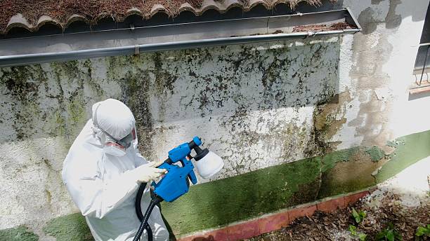 Top rated local Commercial Mold Remediation specialists in Burtonsville, MD